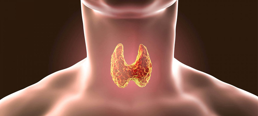 7 ядов, разрушающих щитовидную железу вот как вывести их из организма