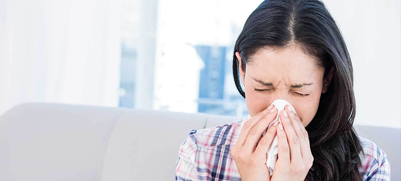 Симптомы ингаляционной аллергии – как с ними бороться