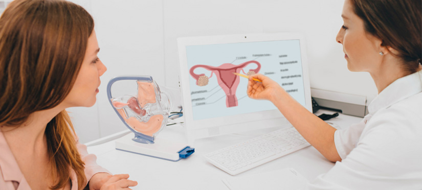 Зачатие при менструации – реально ли это?